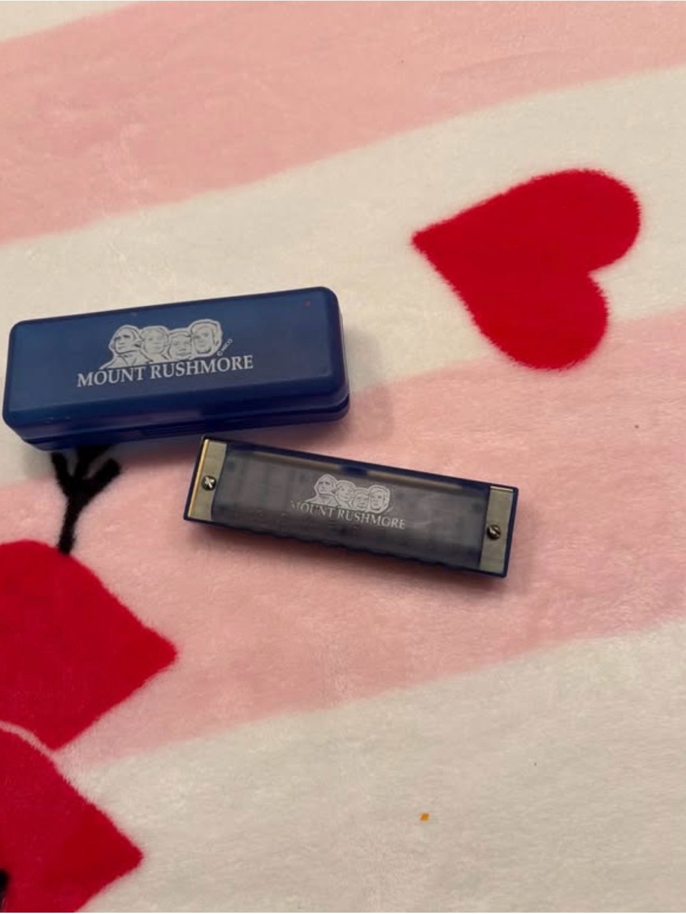 Blue Harmonica with Case